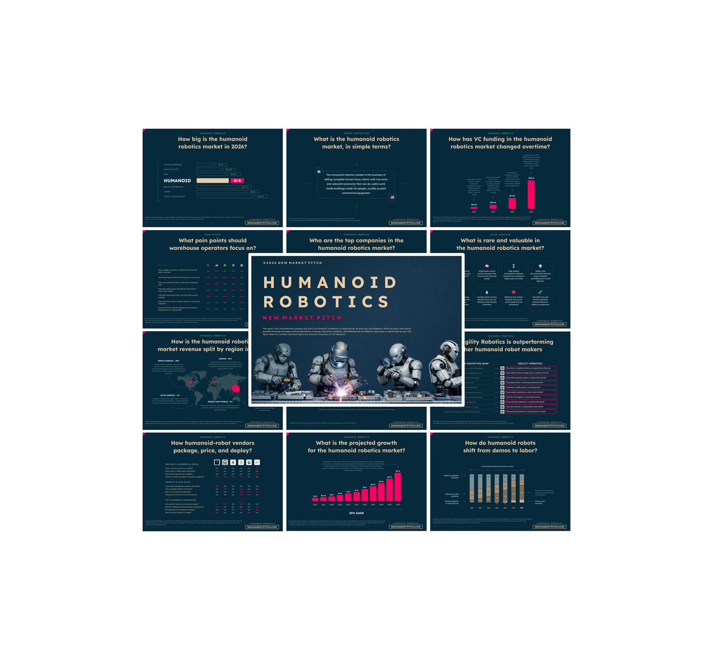 Humanoid Robotics Market - PRO+