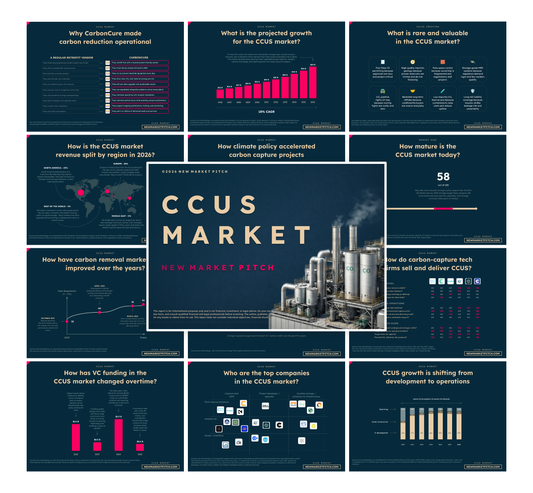 CCUS Market - PRO++