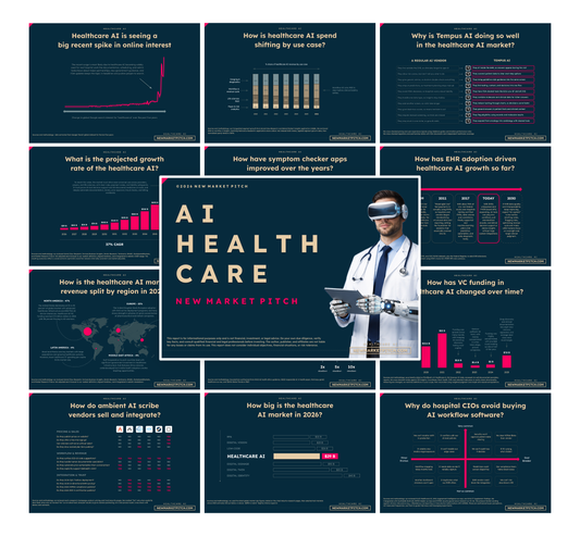 Healthcare AI Market - PRO++