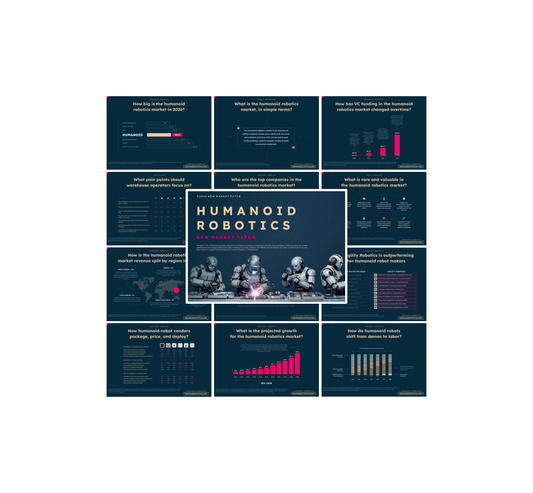 Humanoid Robotics Market - PRO+