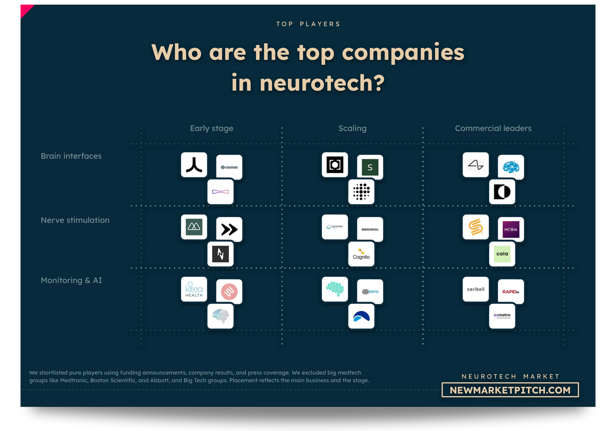Neurotechnology Market Report | 2026 | 350+ Data – New Market Pitch