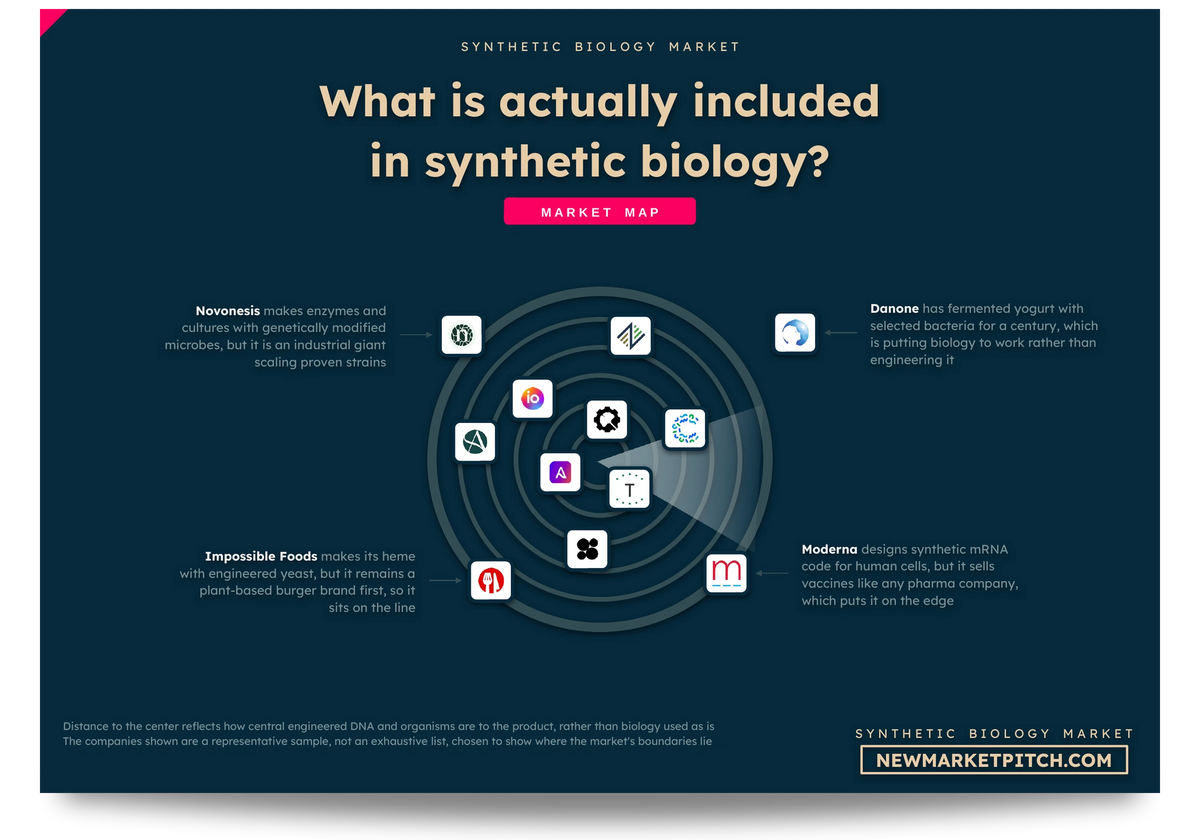 Synthetic Biology market map: which companies count as part of the market and which do not