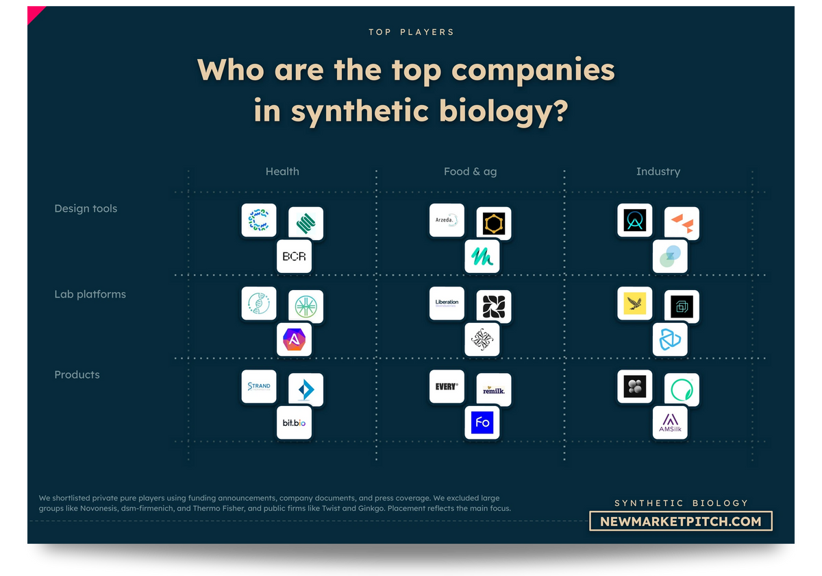 synthetic biology market map top startups